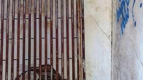 Nothing Lasts Forever '18 - Catherines-Farm109.jpg