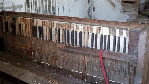 Nothing Lasts Forever '18 - Catherines-Farm119.jpg