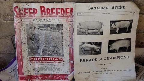 Photo from Nothing Lasts Forever '18