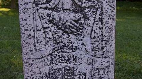 Mayne Cemetery - Mayne-(ghost-town)17.jpg