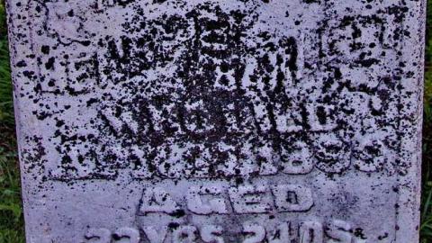 Mayne (ghost town) photo 4