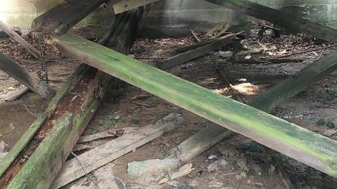 Photo from Labour Day Leisure 2018