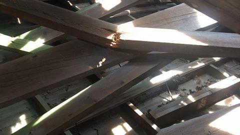 Labour Day Leisure 2018 - The-Works-Eagle20.jpeg