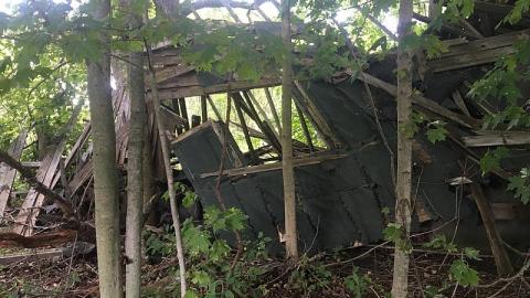 Labour Day Leisure 2018 - The-Works-Eagle21.jpeg