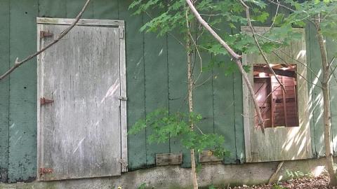 Labour Day Leisure 2018 - The-Works-Eagle12.jpeg