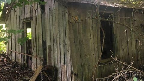 Labour Day Leisure 2018 - The-Works-Eagle13.jpeg