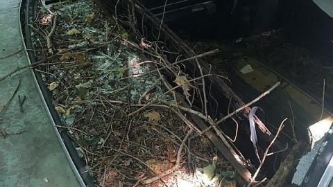 Labour Day Leisure 2018 - The-Works-Eagle27.jpeg