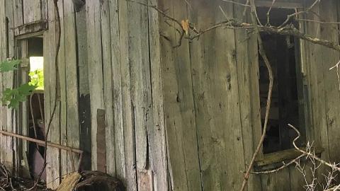 Labour Day Leisure 2018 - The-Works-Eagle16.jpeg