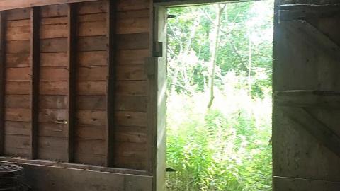 Labour Day Leisure 2018 - The-Works-Eagle28.jpeg