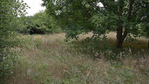 House - Fairway-Farm11.jpg