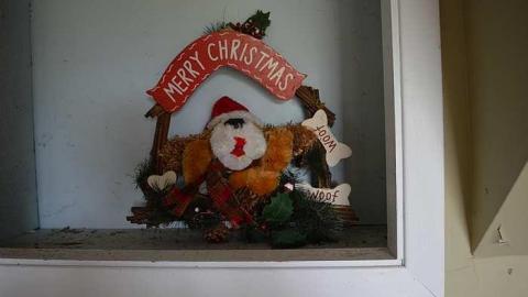 Rooming house and stables - Fairway-Farm19.jpg