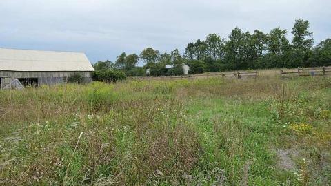 Barn - Fairway-Farm18.jpg