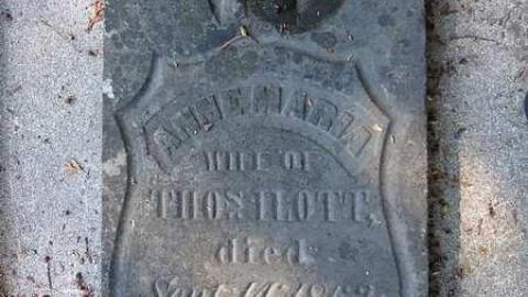 Zion Rules - Zions-Hill-Pioneer-Cemetery2.jpg