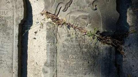 Zion Rules - Zions-Hill-Pioneer-Cemetery9.jpg