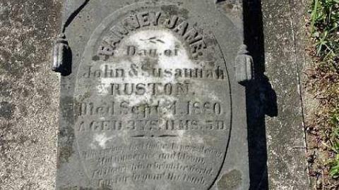 Photo from Zion Rules