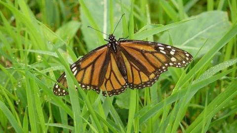 June 2014 - McKinnon-(ghost-town)65.jpg