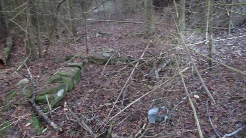 School in the woods - Glanmire-(ghost-town)-Gallery35.jpg