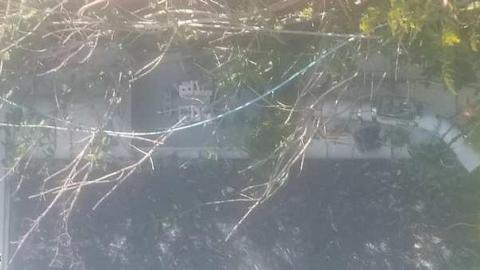 Photo from First Visit