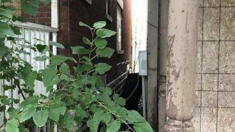 Outside pics - 255--258-Grey-Street2.jpg