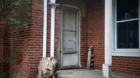 Grand Old Dame photo 3