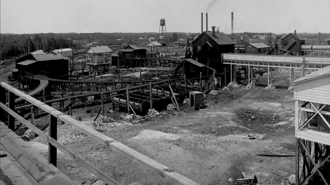 Nobel CEL Plant photo 2