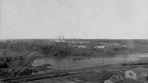 Nobel CEL Plant photo 5