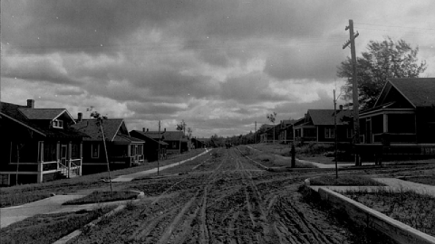 Nobel CEL Plant photo 3