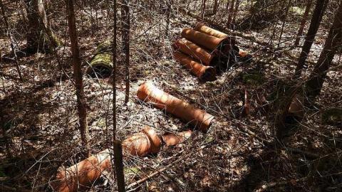 Bicroft Uranium Mine - Bicroft-Uranium-Mine2.jpg