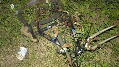 squatters paradise  - IMG_4058.jpg