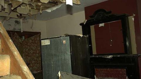 squatters paradise  - IMG_4068.jpg