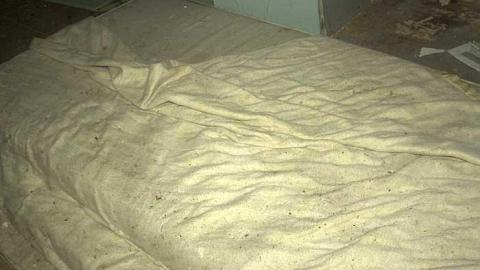 squatters paradise  - IMG_4075.jpg