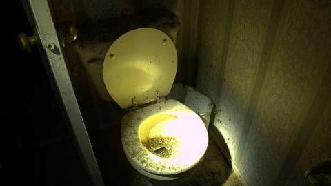 squatters paradise  - IMG_4079.jpg