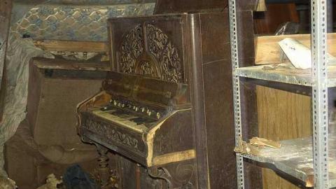 squatters paradise  - IMG_4050.jpg