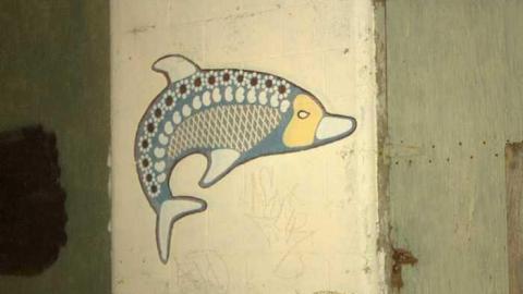 squatters paradise  - IMG_4046.jpg