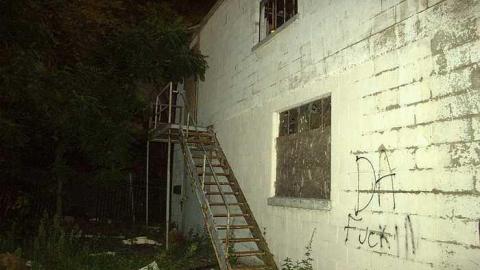 squatters paradise  - IMG_4054.jpg