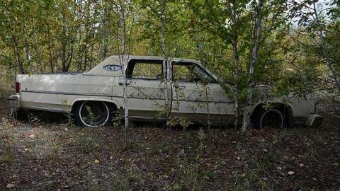 Joburke Gold Mine  - Joburke-Gold-Mine7.jpg