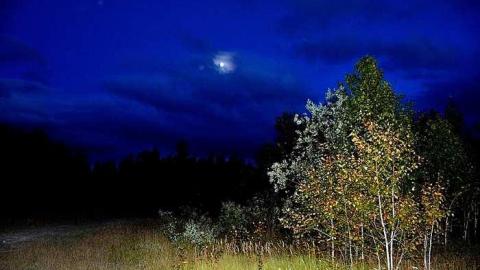 Joburke Gold Mine  - Joburke-Gold-Mine10.jpg