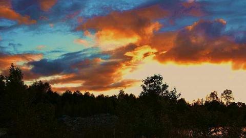 Joburke Gold Mine  - Joburke-Gold-Mine11.jpg