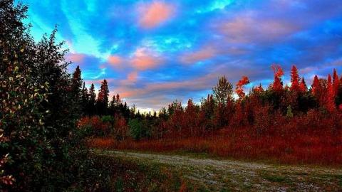 Joburke Gold Mine  - Joburke-Gold-Mine12.jpg