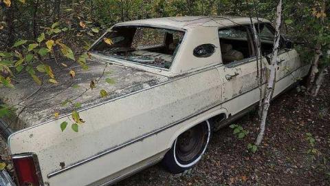 Joburke Gold Mine  - Joburke-Gold-Mine24.jpg