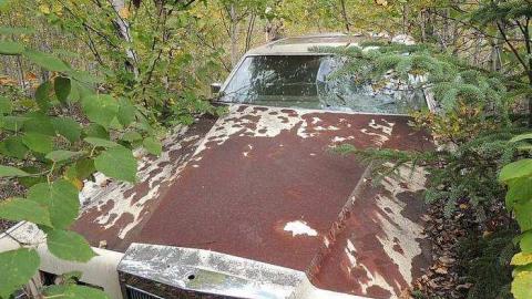 Joburke Gold Mine  - Joburke-Gold-Mine25.jpg