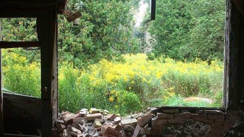 Sept 2018 - Highpoint-Of-The-Day239.jpg