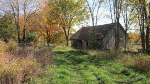 gibralter - Left-To-Rot-in-Gibraltar79.jpg