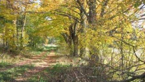 gibralter - Left-To-Rot-in-Gibraltar77.jpg