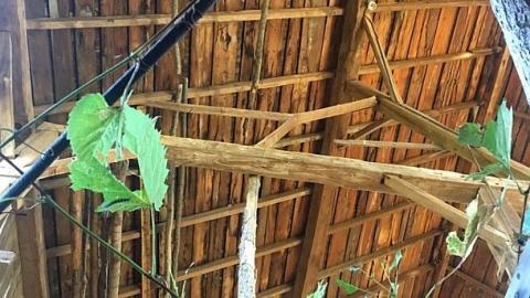 Photo from Sunday funday/Interiors 