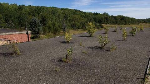 Sept 2018 - Burwash-Correctional-Prison571.jpg