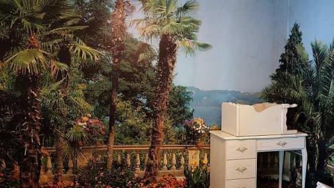 Beautification Sept '18 - DSC03618.jpg