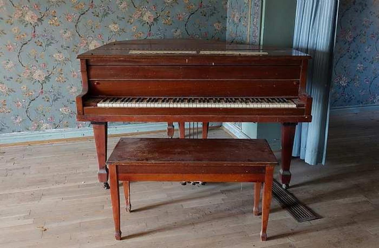 Beautification Sept '18 - DSC03625.jpg