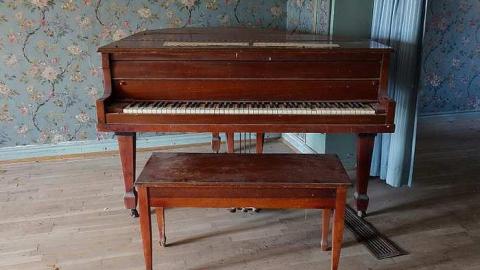 Beautification Sept '18 - DSC03625.jpg