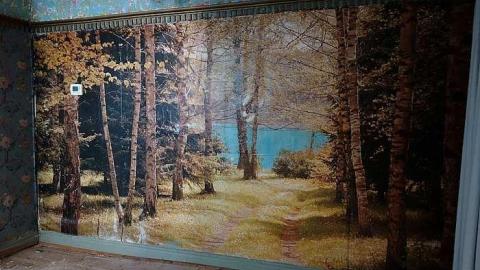 Beautification Sept '18 - DSC03634.jpg